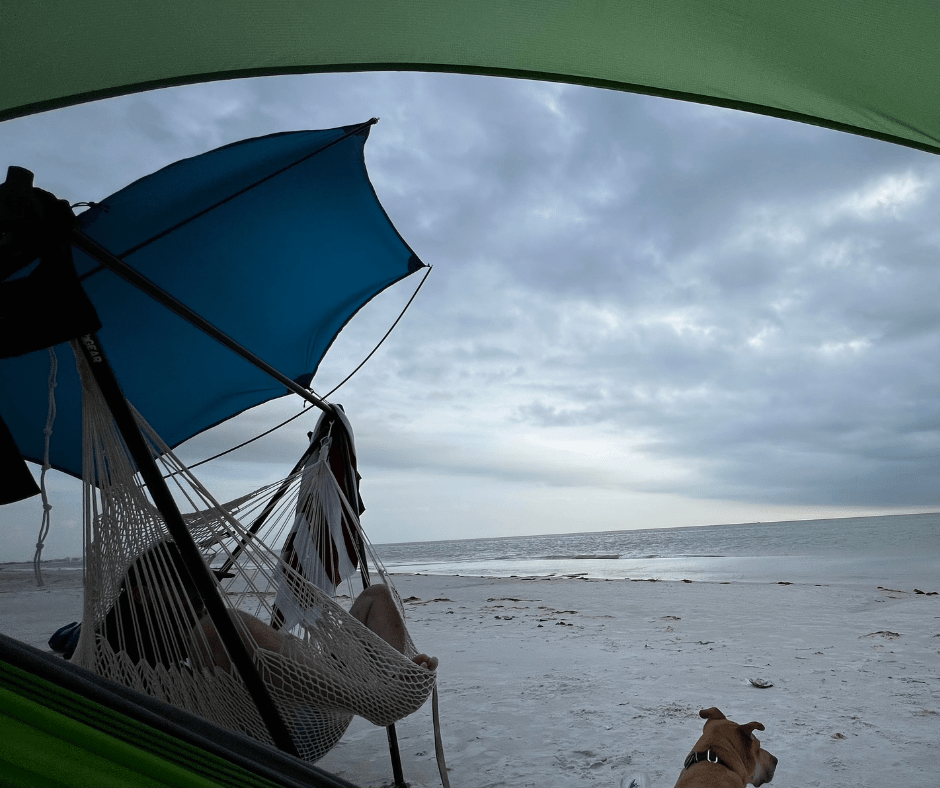 Turtlebug Chair/Mini Sunshade image 2