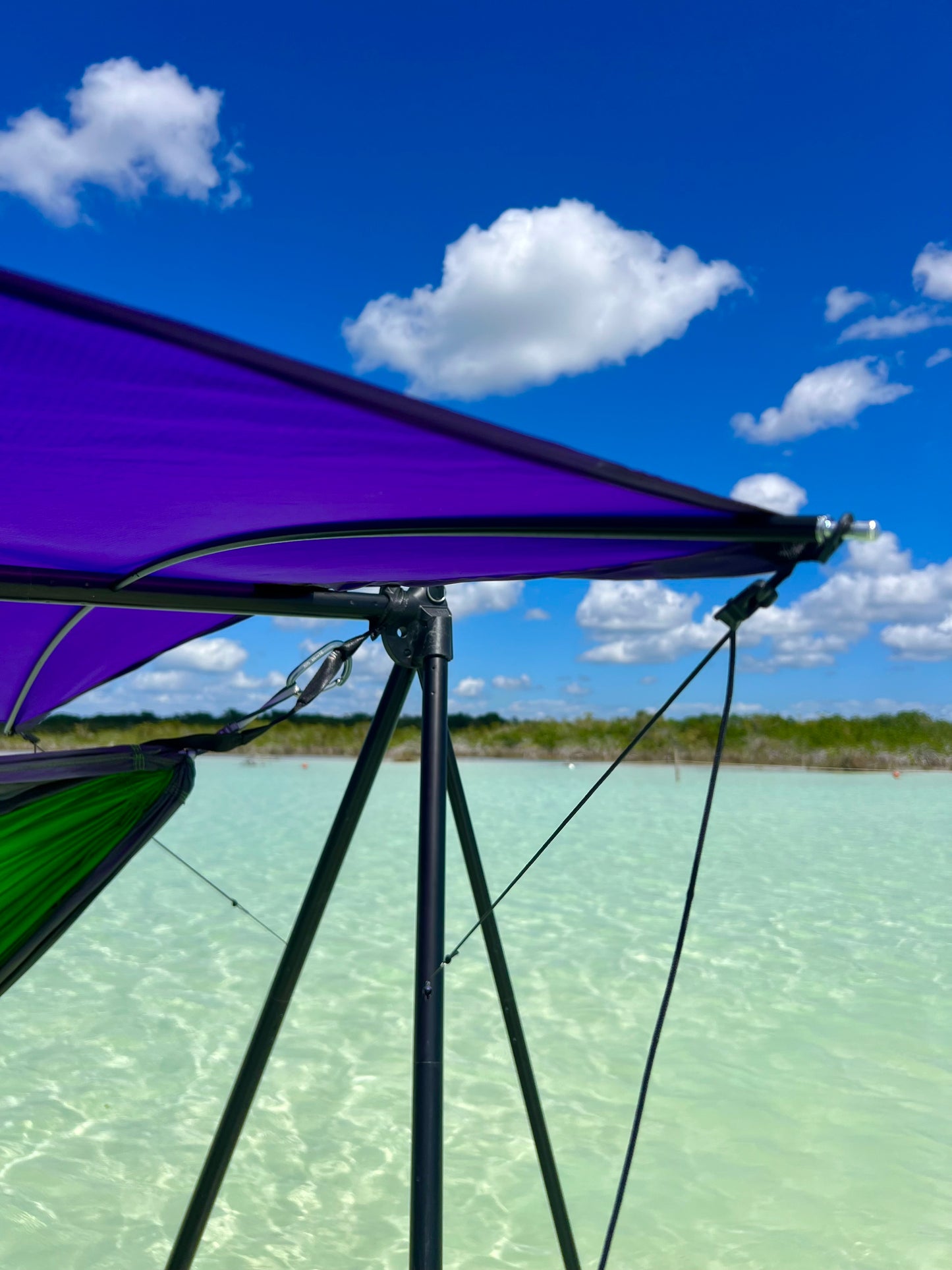 Turtlebug Lounger Sunshade