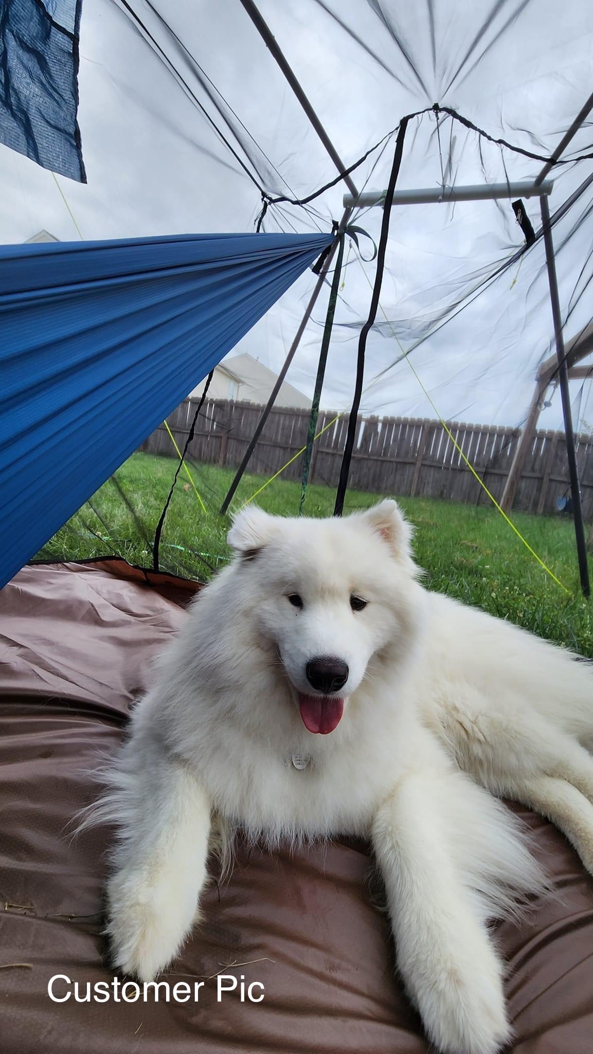 Hive Hammock Stand image 13